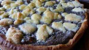 mohn-quark-kuchen