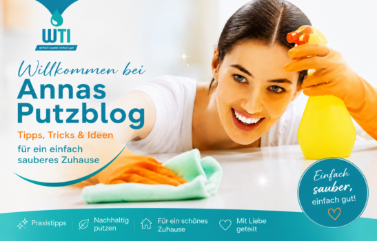 annas-putzblog.de