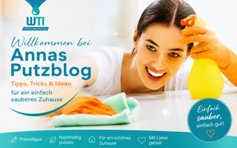 annas-putzblog.de