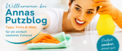 annas-putzblog.de